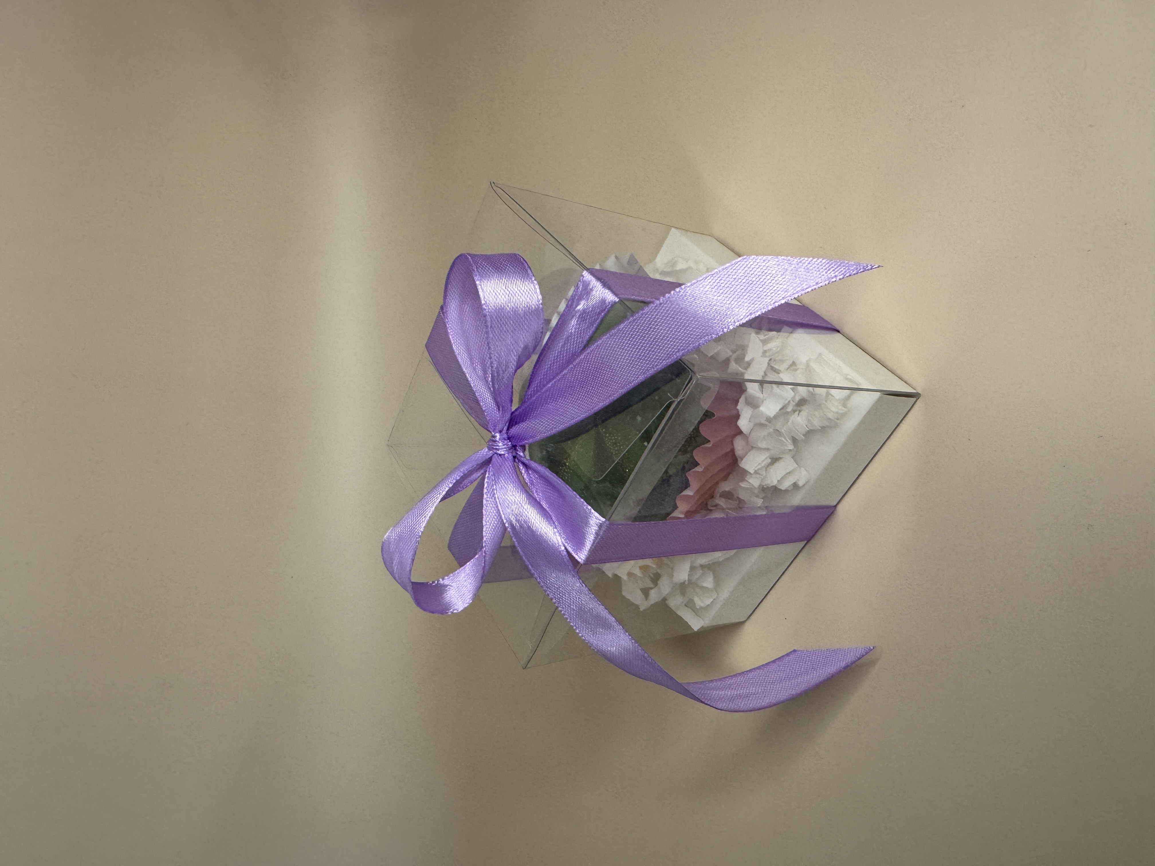 Savos Kūrimo Linijos